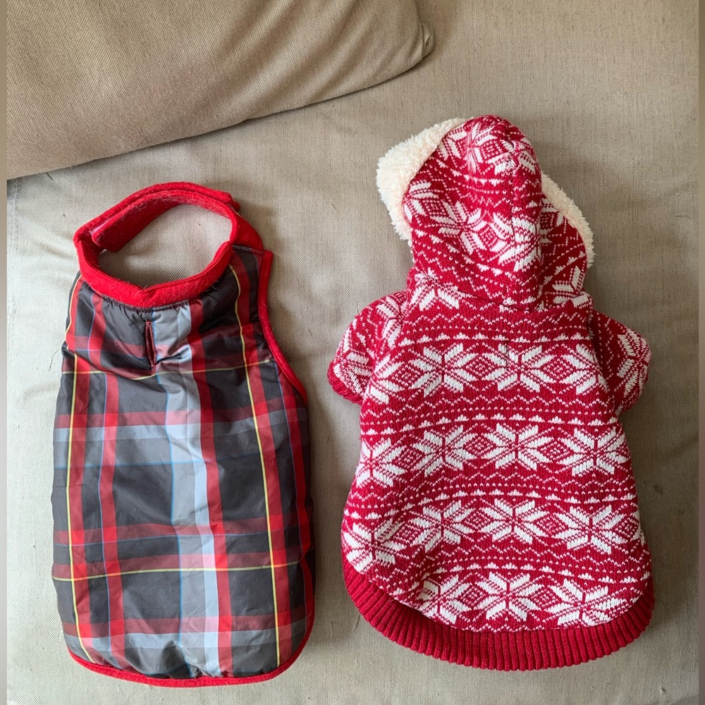 Dog Jacket and Sweater 🐕